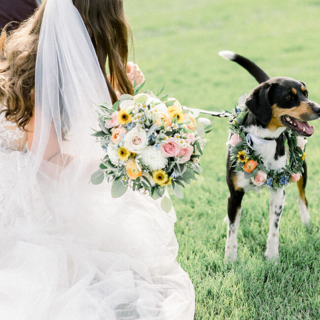 Floral Reef Designs Ottawa Wedding Florist - Amy Pinder Photography - Stonefields Estate wedding - matching bridal bouquet and dog collar soft pastels and light greenery